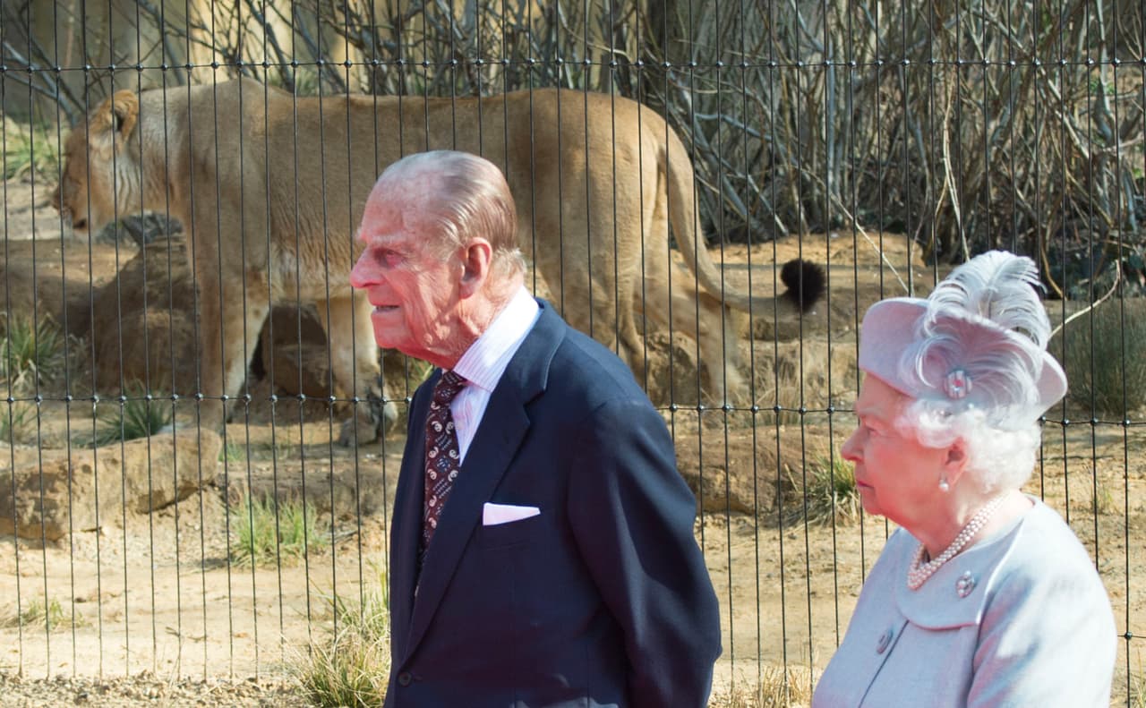 ¡Cuidado con los leones!