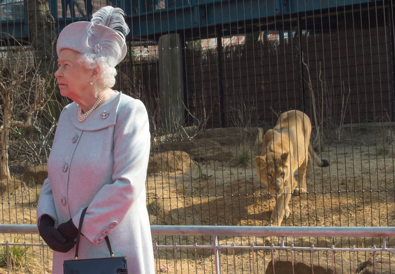¡Cuidado, atrás de usted, Reina Isabel!