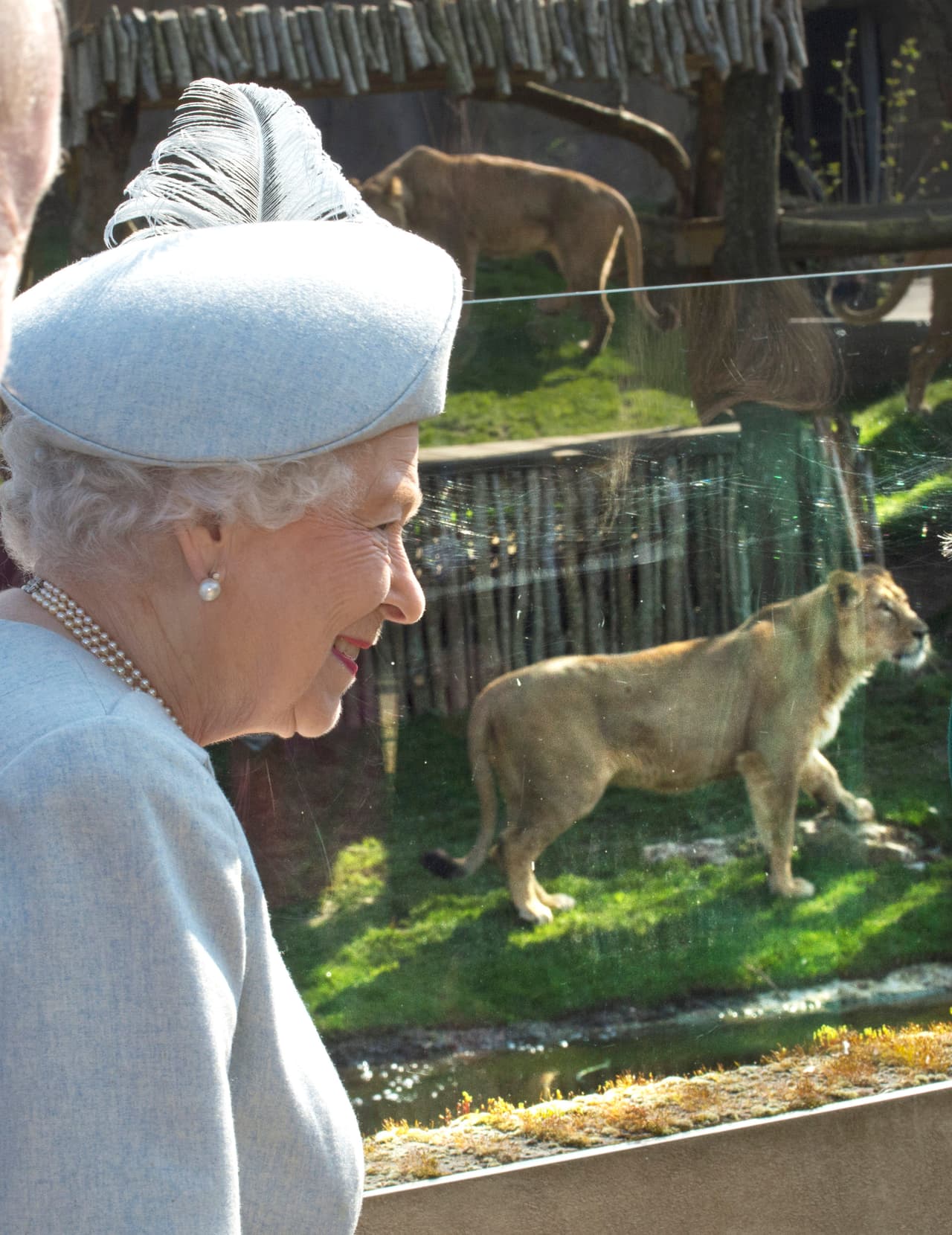 ¿Relamiéndose los bigotes por el "antojito" que le llevaron?