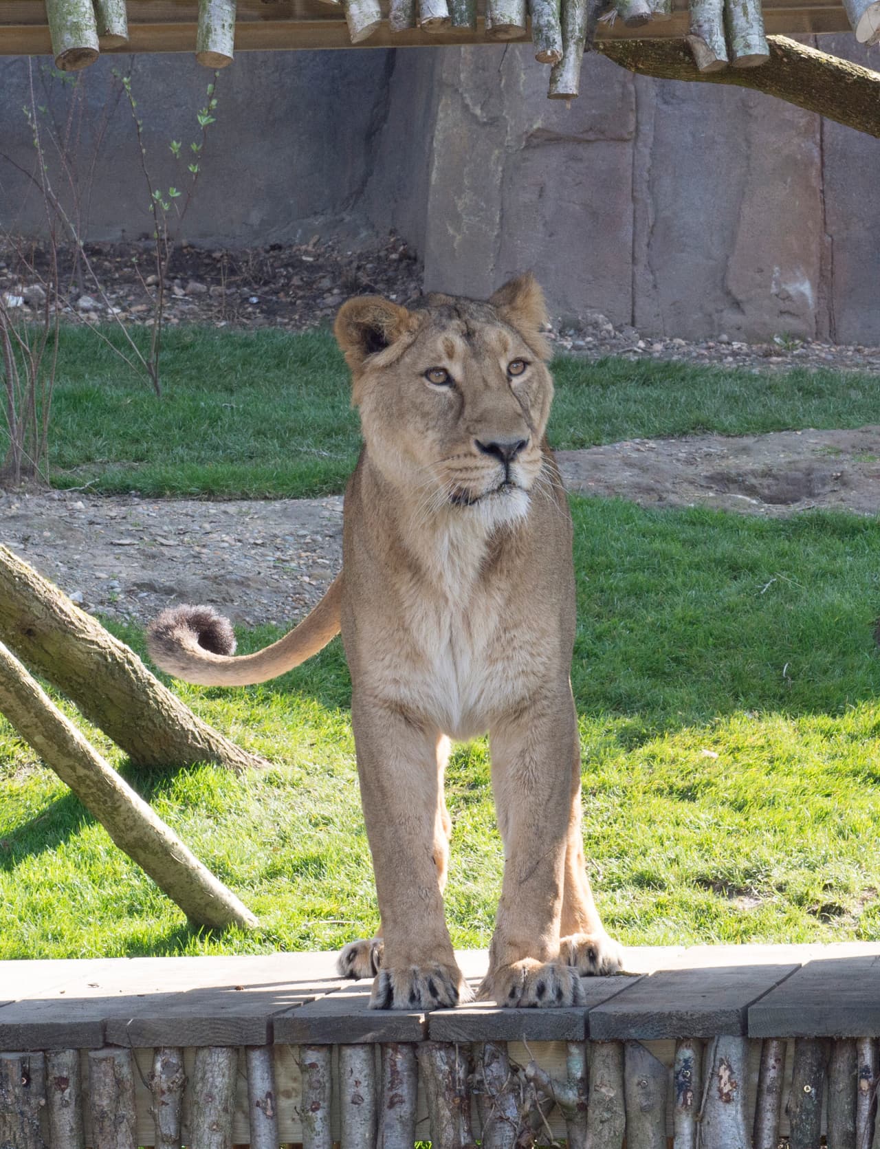 ¡Lo siento, no es para ti!