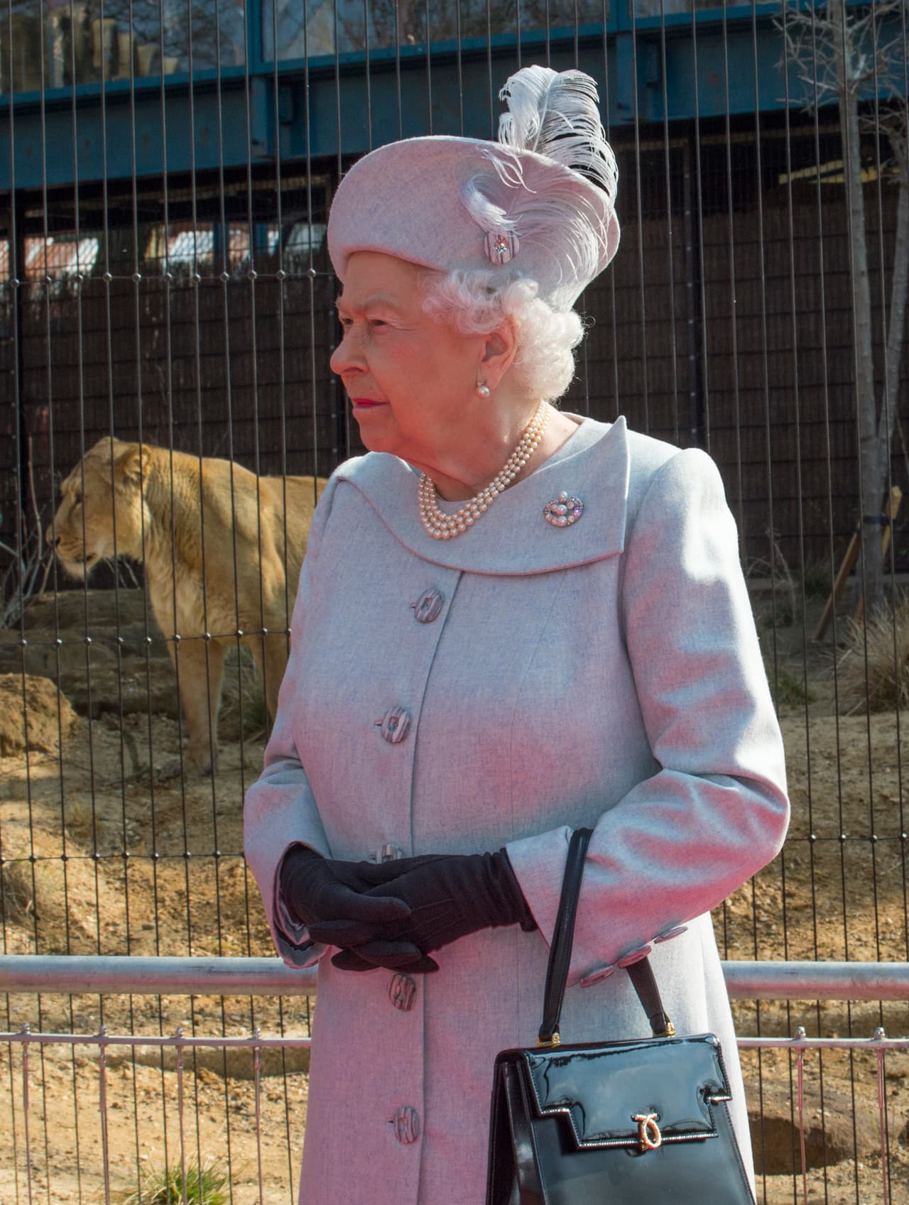 Aunque en un momento, un leoncito se acercó demasiado a la Reina.