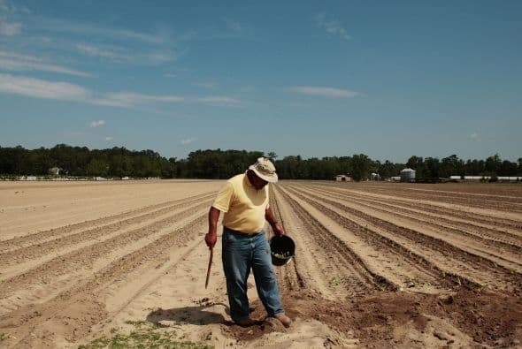 Su papel en la cinta 'Better Life' cuenta la historia de Carlos Galindo, un inmigrante mexicano que trabaja en Estados Unidos y que vive junto a su hijo adolescente. Bichir se convirtió así en el segundo intérprete mexicano en lograr una candidatura al Oscar en la categoría de Mejor Actor, tras las logradas por Anthony Quinn en 1952 y 1956.