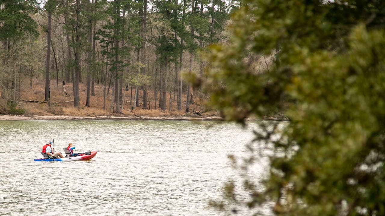 Ubicado al norte de la ciudad de Houston, ‘Huntsville State Park’ cuenta una gran belleza natural y un enorme lago para nadar.