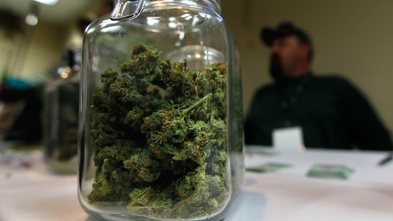 Las dificultades de entrar a la industria de producción legal de una droga que estuvo prohibida