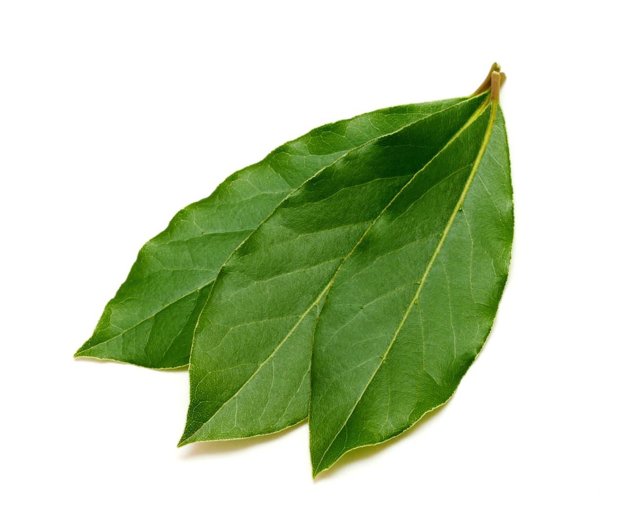 3 Hojas de laurel
<br>