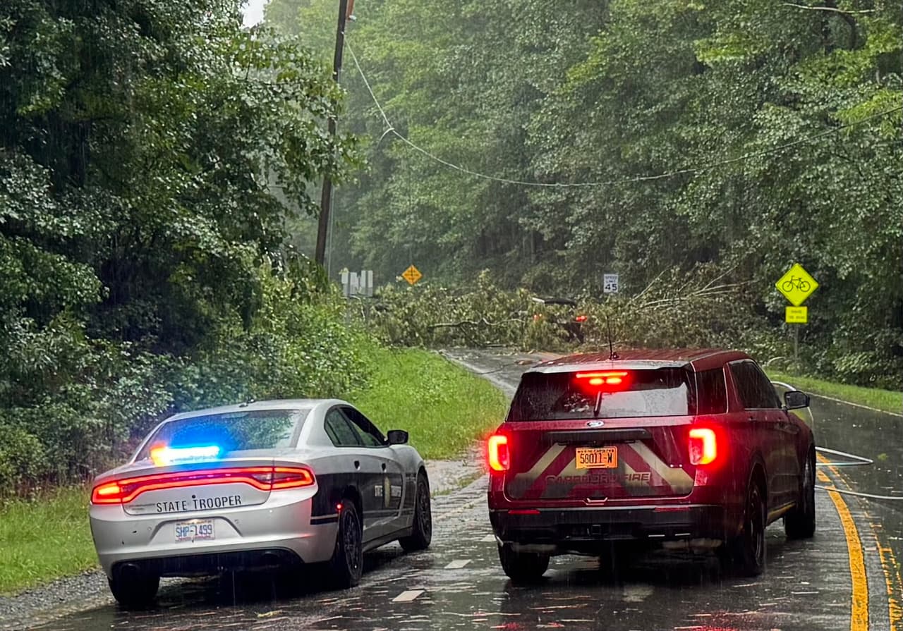 Miles de personas perdieron el 
<b><a href="https://www.univision.com/local/north-carolina-wuvc/condados-carolina-norte-debby-electricidad" target="_blank">servicio de energía eléctrica este jueves en Carolina del Norte</a></b>, pues los fuertes vientos de la tormenta Debby 
<b>tumbaron árboles y líneas de transmisión</b>. Oficiales del alguacil del condado Orange respondieron a reportes de situaciones como esta que muestra la imagen.