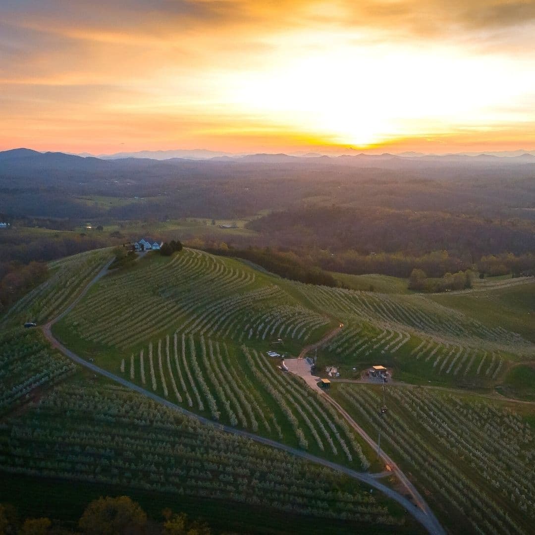 <b>Mercier Orchards</b>
<br>Dirección: 8660 Blue Ridge Dr, Blue Ridge, GA. 30513-4117
<br>Teléfono: 706-632-3411
<br>Sitio web:
<a href="http://www.mercier-orchards.com/">http://www.mercier-orchards.com/</a>
<br>
<b><a href="https://goo.gl/maps/h9VCVUaHLy7dWUDz7?coh=178573&entry=tt">Cómo llegar</a></b>
<br>
<br>Los visitantes pueden recoger ellos mismos muchas frutas de temporada y disfrutar de una panadería que ofrece pasteles fritos, un restaurante y una tienda exclusiva.