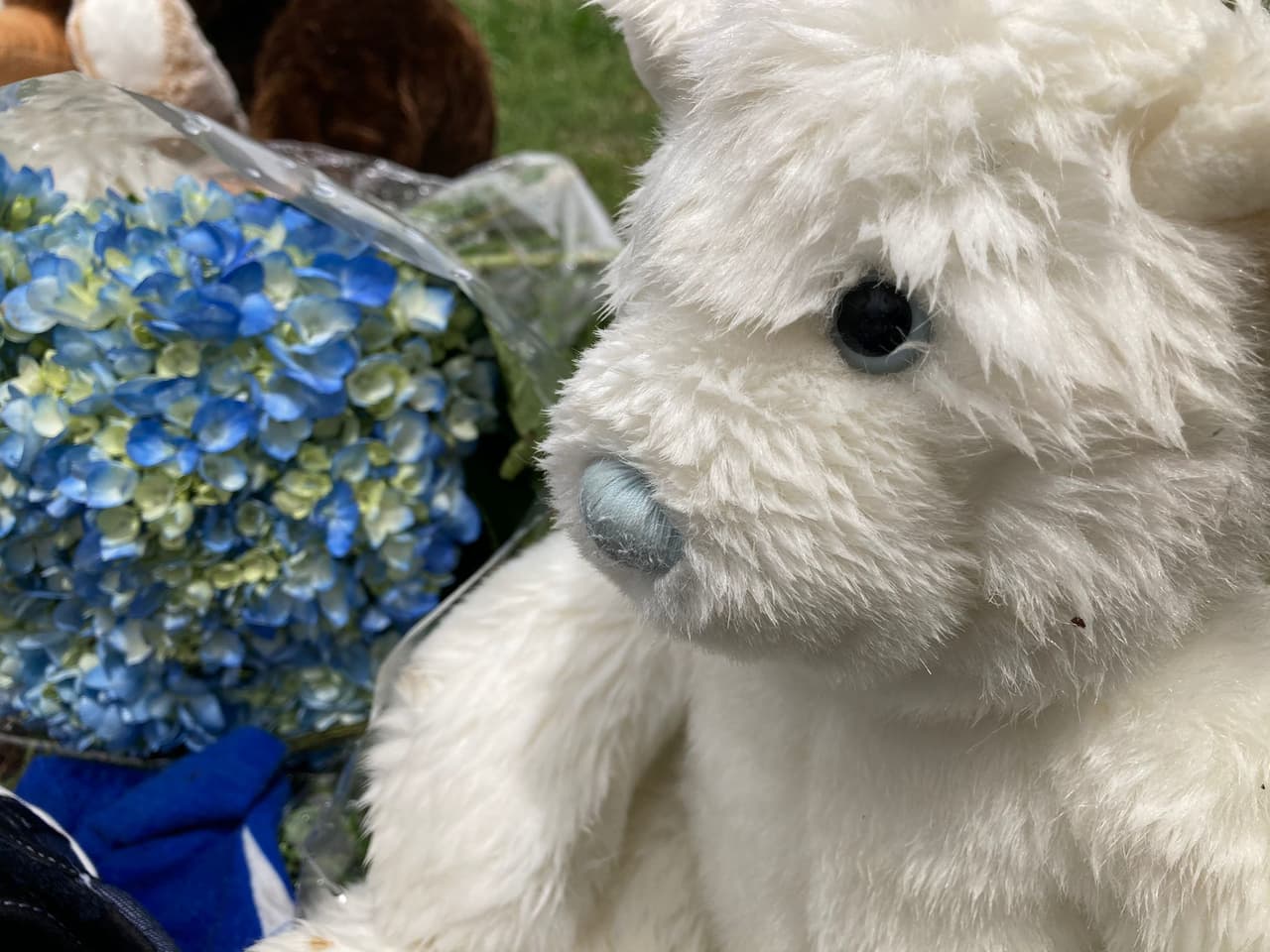 El hermano del niño dijo a Noticias 23 que él conocía al sospechoso del crimen de la escuela. El pequeño estaba bajo el cuidado de la ex novia de su padre.