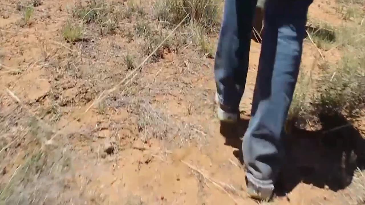 “Él nos violaba en grupo a todas en la misma cabañita": inmigrante salvadoreña relata su travesía a Estados Unidos