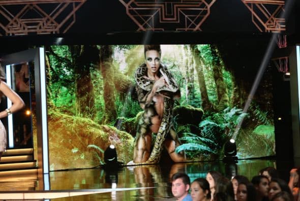 Ahora sí que todas contra todas. ¿Quién ganará? Una semifinal a lo grande con Ale Guzmán, La Arrolladora Banda El Limón y Christian Daniel. Además, animales salvajes y hasta las eliminadas resucitaron. ¿Eres Team Clarissa, Team Nathalia, Team Francisca o Team Catherine?