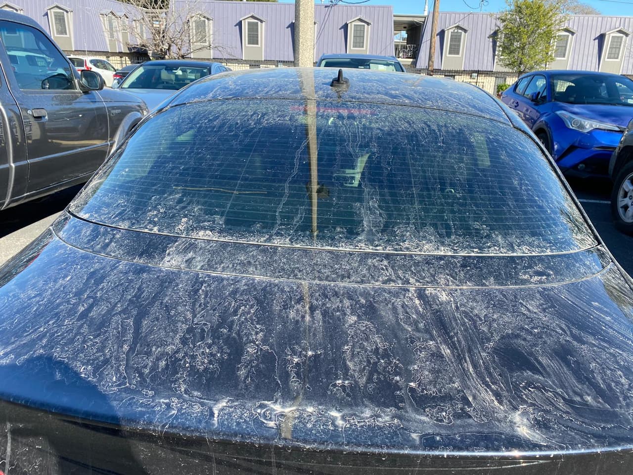 Antes de la sorpresiva nieve, en el ambiente había polvo que fue empujado por vientos del suroeste.