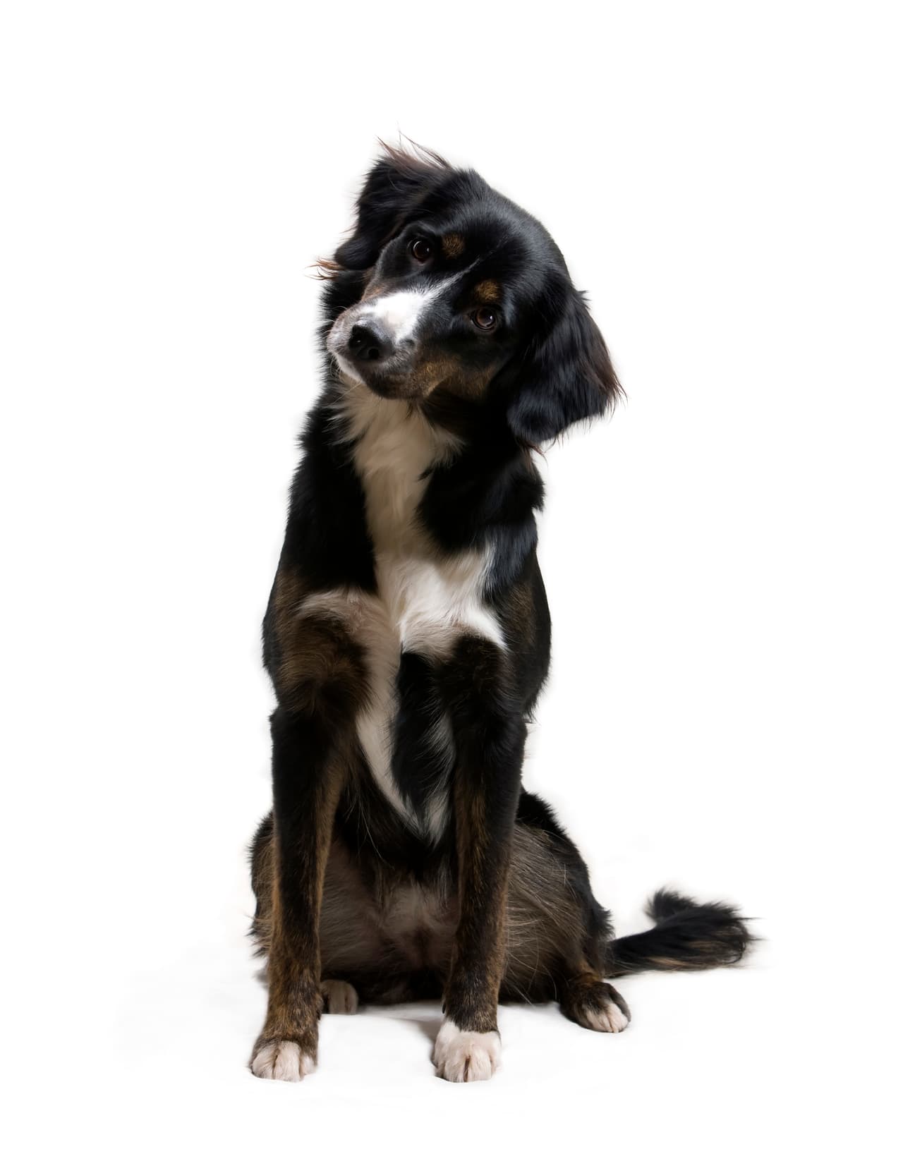 ¡Y no te preocupes porque sea más de un comando a la vez!