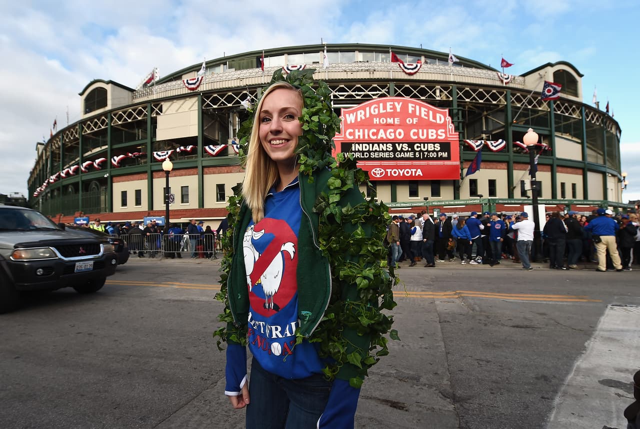 La famosa 'maldición de la cabra' viene desde 1945, cuando un fanático con una cabra fue expulsado y este aseguró que los Cubs nunca volverían a ganar. Pasaron 71 años para que volvieran a ganar una Liga Nacional y aún van 108 años sin una Serie Mundial.