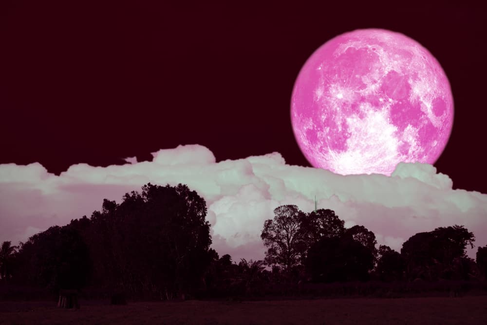Estamos en abril y frente a nosotros el hermoso espectáculo de la llamada 'luna rosa o luna de rosa', una superluna que ocurrirá el día 8 en el signo de Libra y que será la última antes de la importante 'luna de Wesak o de Vesak' del próximo 7 de mayo que conmemora en todo el mundo budista el nacimiento del Buda.
<br>