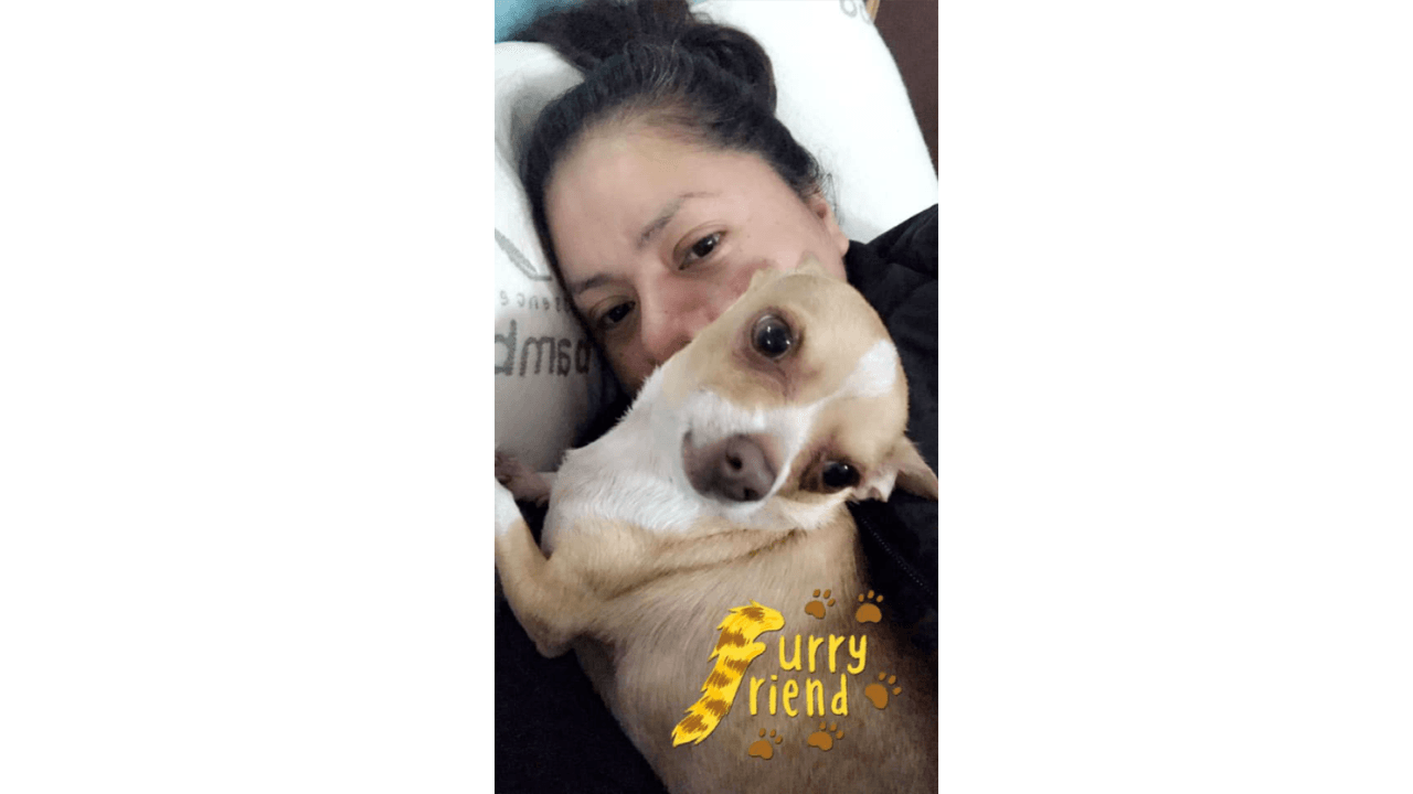 "El es Gordito mi
<a href="https://www.facebook.com/hashtag/hijoperruno?hc_location=ufi">#HijoPerruno</a>es parte de nuestra familia y el más consentido, lo queremos mucho!!!!"