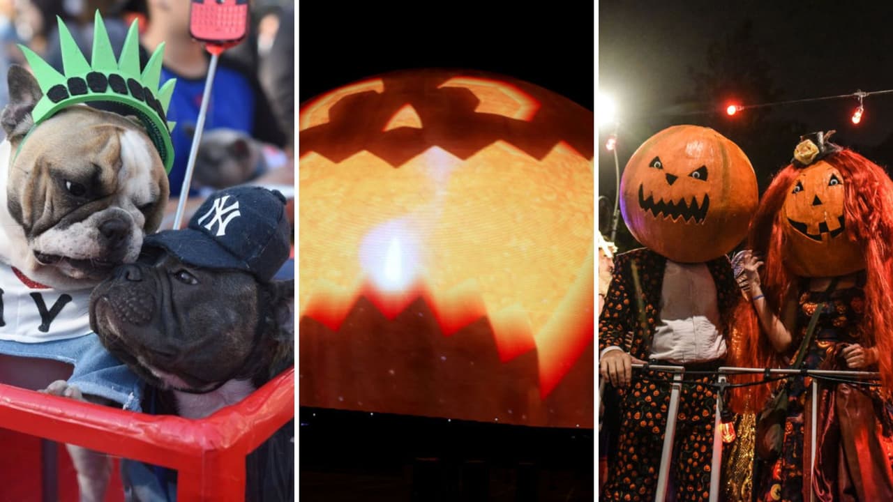 ¿Dulce o truco? Descubre una serie de eventos para disfrutar Halloween en Nueva York