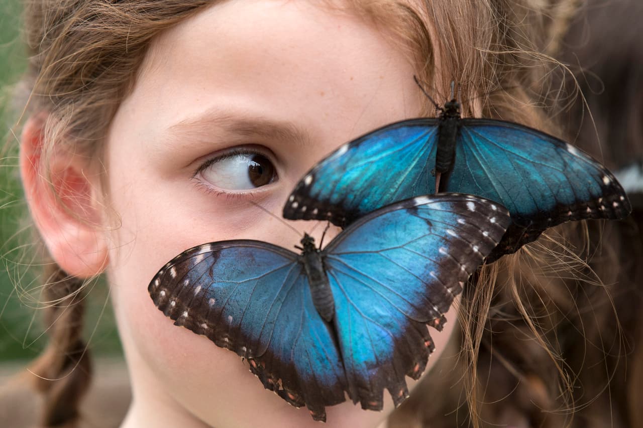 Esta belleza de espacio está ubicado en el 10901 Old Cutler Rd., Coral Gables.