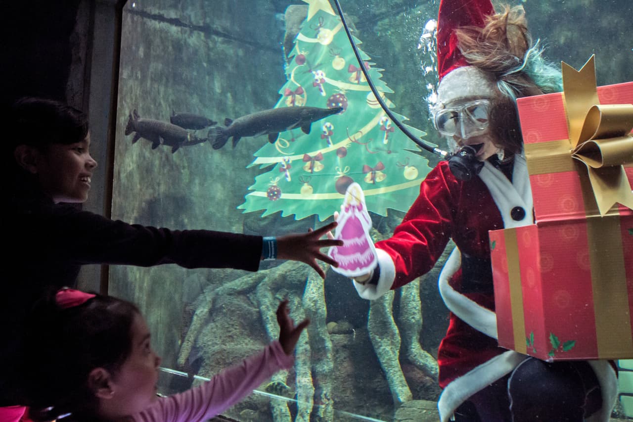 Perla Mendoza, una bióloga del acuario del zoológico de Guadalajara, en México, se vistió de Santa Claus para saludar a los niños desde el agua.