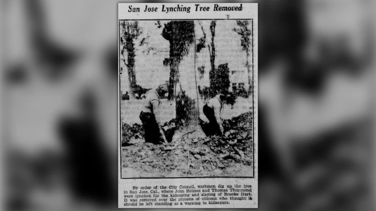 Días después del linchamiento, las autoridades locales ordenaron remover el árbol donde los sospechosos murieron colgados.
