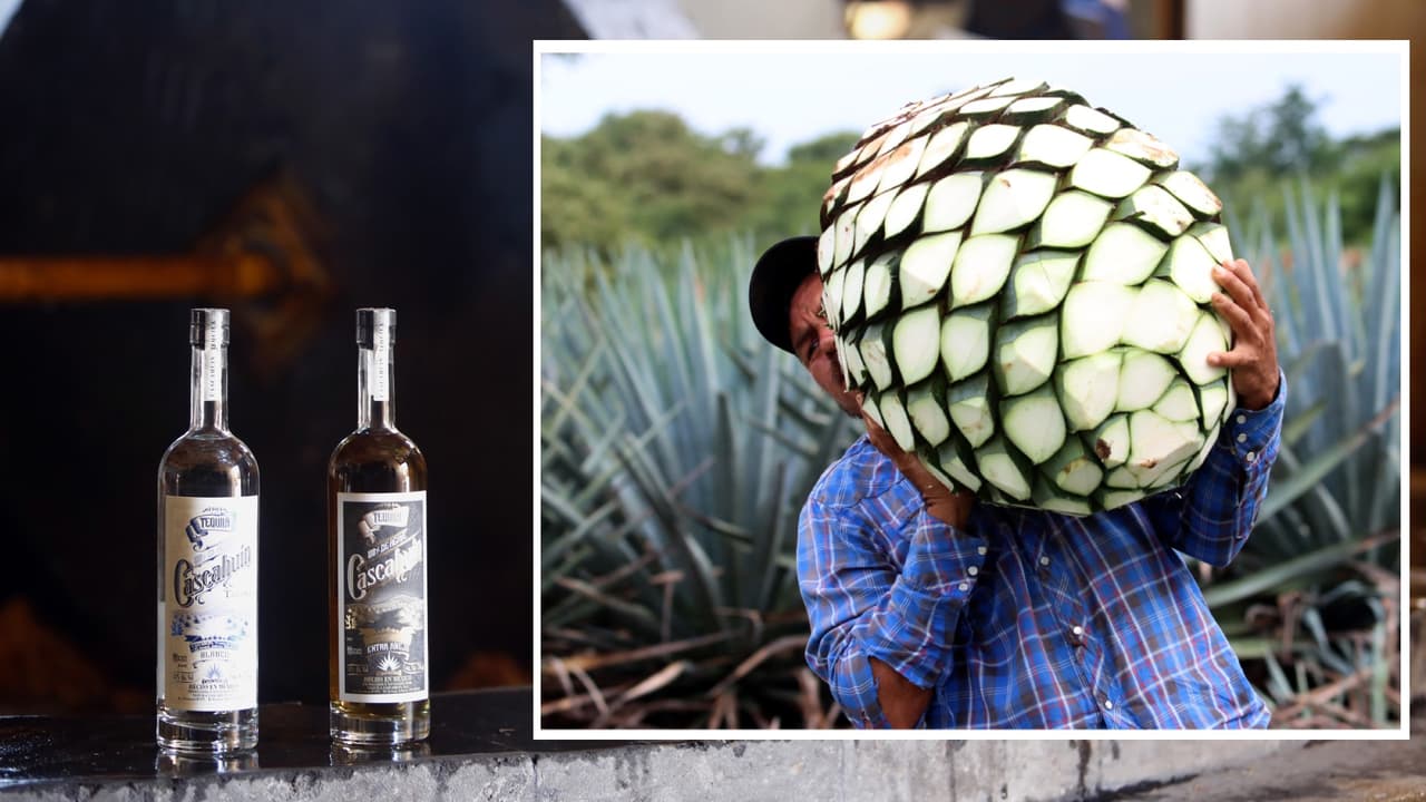 Festival de la Herencia del Agave en Tucson: Un espacio para en el encuentro de la tradición y la aventura