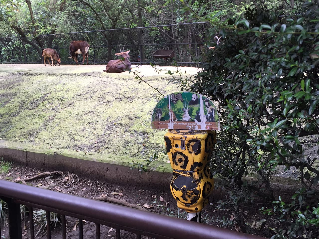 Otra toma de ese sitio.