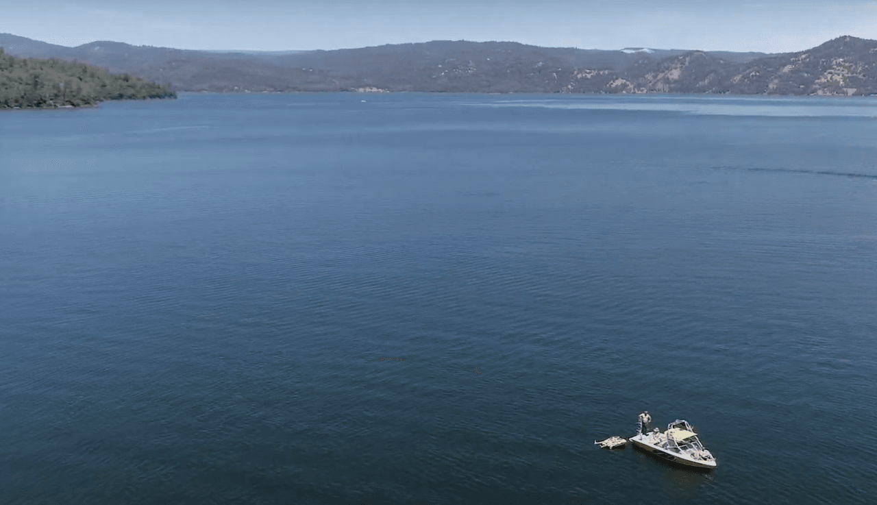 El Departamento de Pesca y Vida Silvestre de California (CDFW, por sus siglas en inglés) informa a pescadores y visitantes de aguas recreativas a estar atentos a la detección de floraciones de algas de agua dulce, Harmful Algal Blooms (HAB) desde la segunda semana del mes de junio.