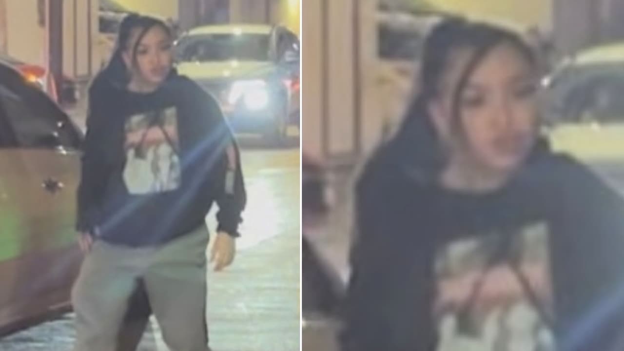 <b>Mujer implicada en la pelea:</b> Se trata de una mujer con una camisa negra.