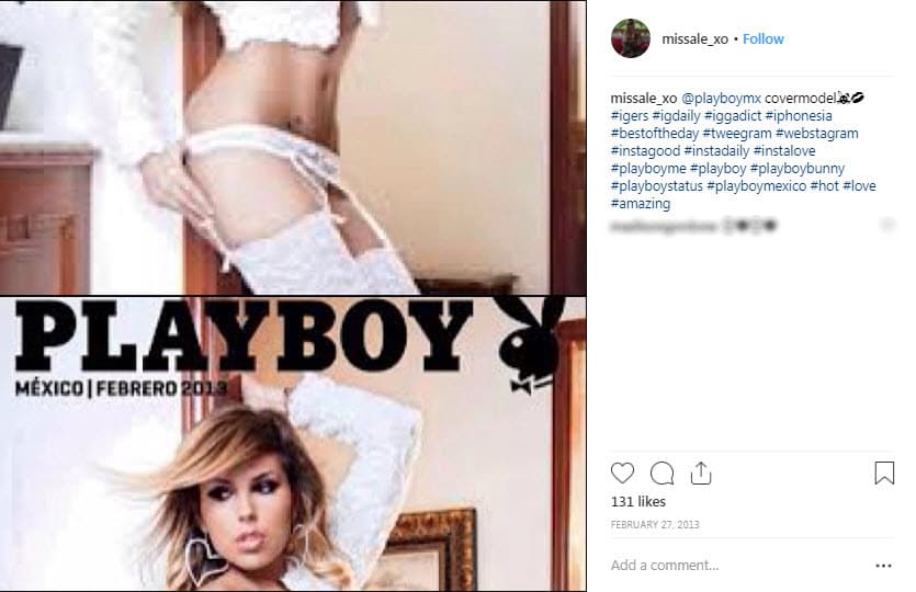 Durante ese mismo año en un entrevista para 'Es de noche y... ¡ya llegué!' Alejandra declaró: "Playboy es una revista que yo siempre he admirado, muchas de las personas que han salido en portada, como Marilyn Monroe, te puedo mencionar muchas... Y cuando me lo ofrecieron yo estuve fascinada con la idea desde el primer momento [...]".