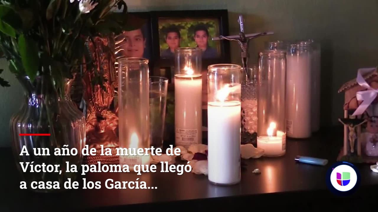 El pequeño Víctor García de 12 años falleció el 23 de diciembre del 2019 cuando fue atropellado por un vehículo al norte de Dallas. Una paloma blanca llegó a la vivienda mientras rezaban el novenario y allí ha permanecido desde ese momento, lo que para la familia se ha convertido en una señal del niño.