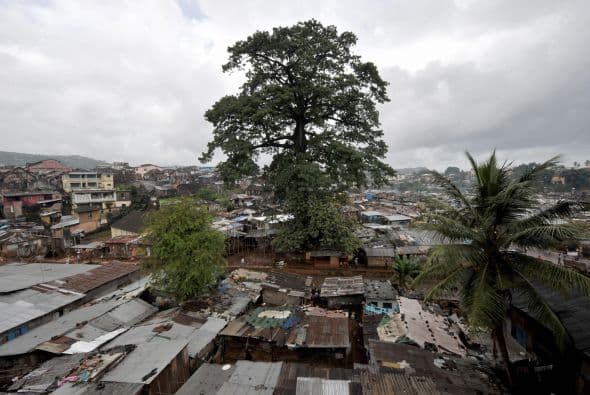 Este objetivo se pretende lograr mediante la reducción a la mitad de la proporción de personas con ingresos inferiores a $1 por día, así como, el porcentaje de personas que padecen hambre y lograr el empleo pleno y productivo y el trabajo decente para todos.