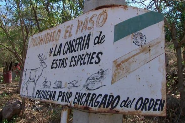 Durante el recorrido las autoridades reconocieron que tiempo atrás esas zonas eran imposibles de transitar porque estaban bajo el dominio de las organizaciones criminales.