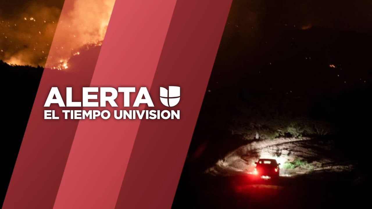 Esto debes hacer si te encuentras en un vehículo en medio de un incendio forestal