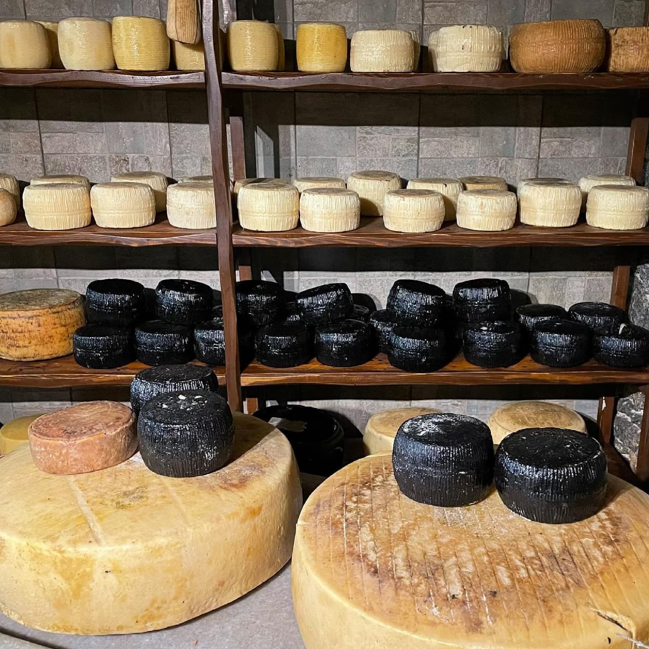 Yoav Perry, un antiguo consultor de quesos, echó raíces en su vecindario de Fishtown con una planta de fabricación de queso ubicada completamente en un contenedor de envío equipado. Esta primavera, Perrystead comenzó a producir quesos frescos y de maduración suave, así como kéfir cremoso. Por ahora, puedes encontrar sus quesos en Riverwards Produce, a solo unas cuadras de distancia. 📍
<a href="https://www.google.com/maps/place/1639+N+Hancock+St+Ste+103,+Philadelphia,+PA+19122/@39.9755294,-75.1391452,17z/data=!3m1!4b1!4m5!3m4!1s0x89c6c86b560b934d:0x2990835a15f637ba!8m2!3d39.9755294!4d-75.1369512" target="_blank">1639 N. Hancock St. Ste. 103</a>,