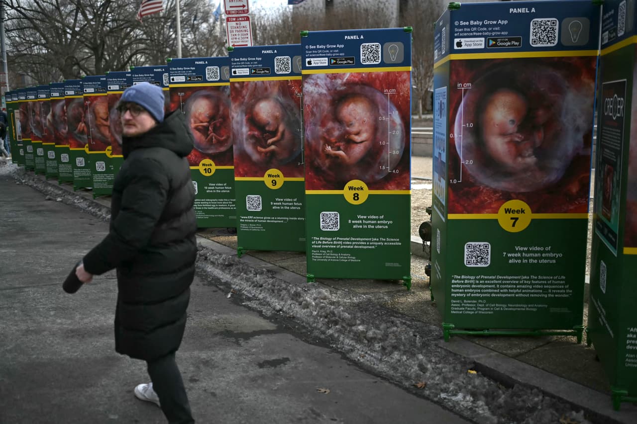 Las agrupaciones colocaron estas mamparas que explican el desarrollo de los embriones y fetos durante el embarazo como parte de sus protestas antiaborto en las calles de la ciudad.