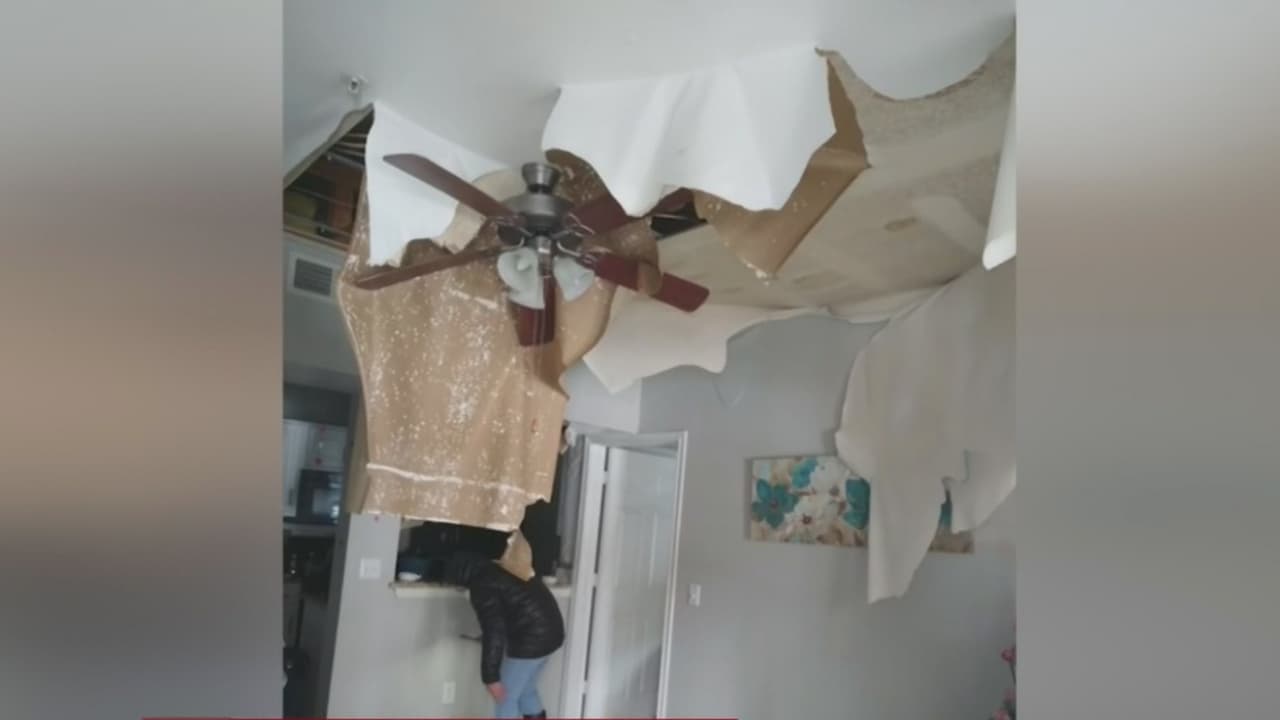 Además, si cuentas con un seguro, es muy importante documentar la situación en la residencia como tomar fotos y videos, explica Mock.
<br>
<br>"Es muy importante documentar la situación con fotos...Tomar video para mostrar por ejemplo que no fue su culpa".
<br>