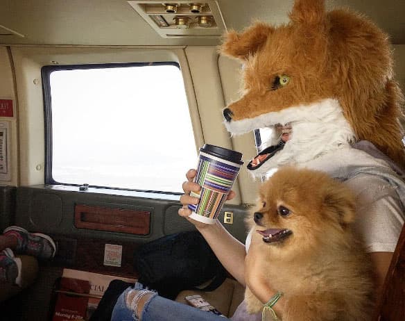 ¿Y quién es esta famosa con máscara de zorrita, disfrutando su cafecito con su mascota?