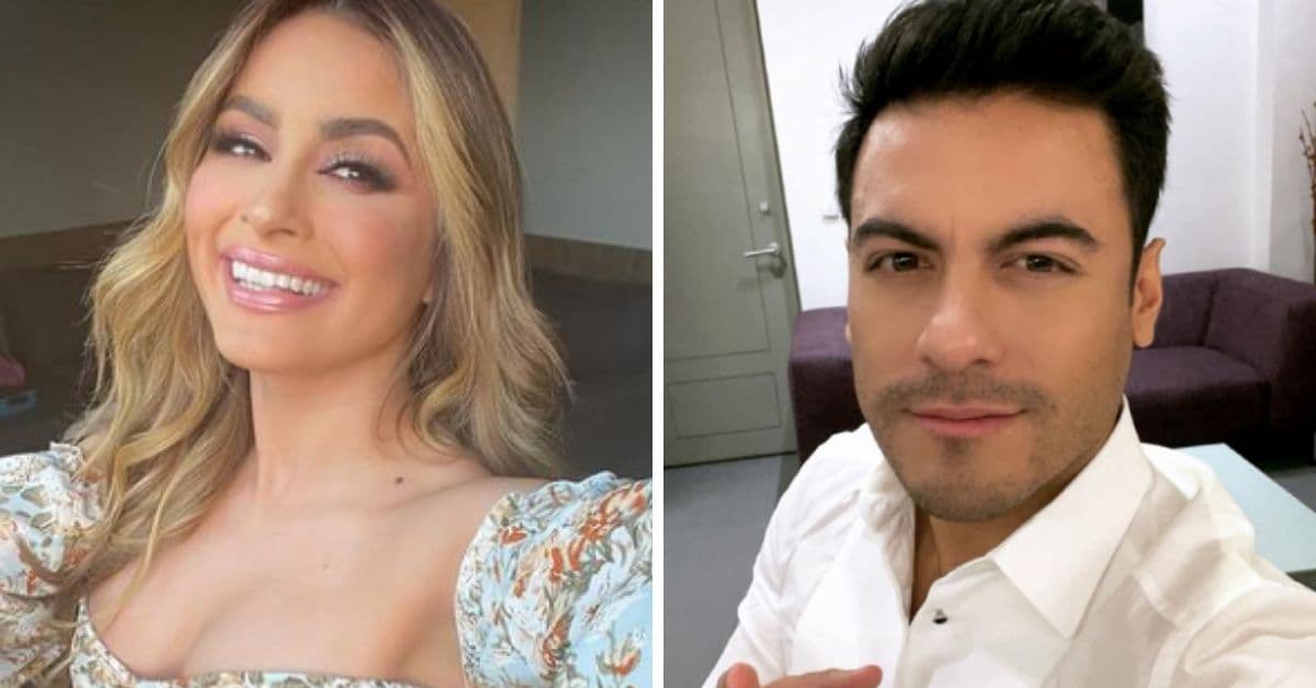 Carlos Rivera y Cynthia Rodríguez no comparten fotos juntos por esta razón: estarás de acuerdo