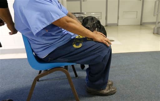 Entre las primeras pistas de la red del crimen, identificaron al pandillero de Oxnard, Gabriel Cárdenas como el conducto entre los miembros de pandillas en las prisioneros de California pandilleros que residen en México.