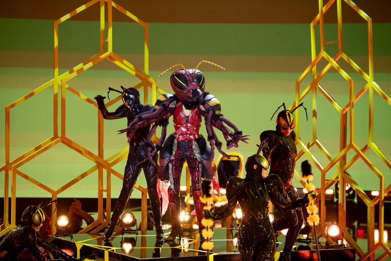 Susana Zabaleta, Vanessa Guzmán, Cynthia Klitbo, Tini Stoessel y Chantal Andere fueron los nombres que dijeron los investigadores.