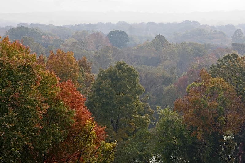 El Centro de Educación Ambiental de Jacobsburg abarca 1.168 acres de bosques, campos y arroyos, que brindan una gran cantidad de oportunidades recreativas y educativas. Los visitantes pueden disfrutar de exhibiciones en el centro de visitantes durante el horario de atención, así como Henrys Woods, un antiguo bosque que rodea Bushkill Creek, que tiene muchas rutas de senderismo.
<br>
<br>