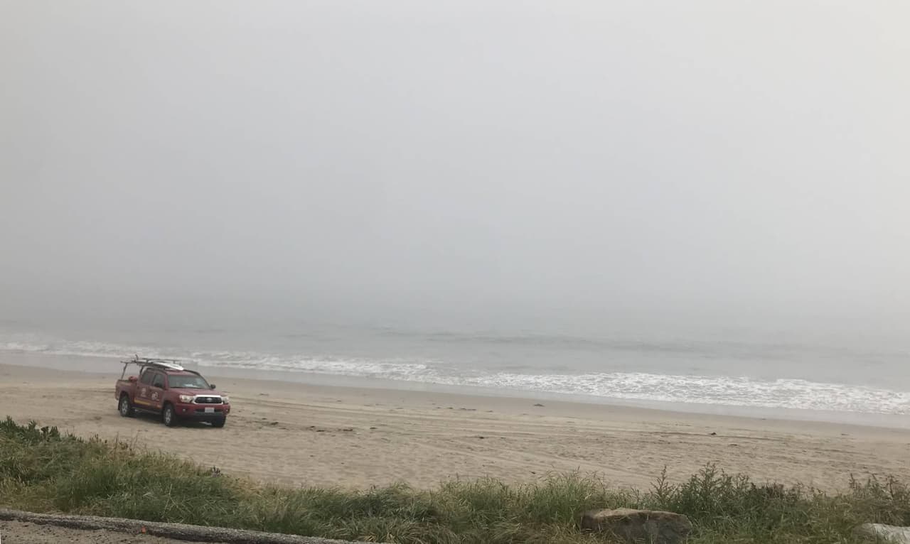 Los guardacostas y salvavidas también mantienen constante patrullaje por la arena con el fin de identificar cualquier caso de desobediencia que puede ser castigado con multas y hasta detenciones.