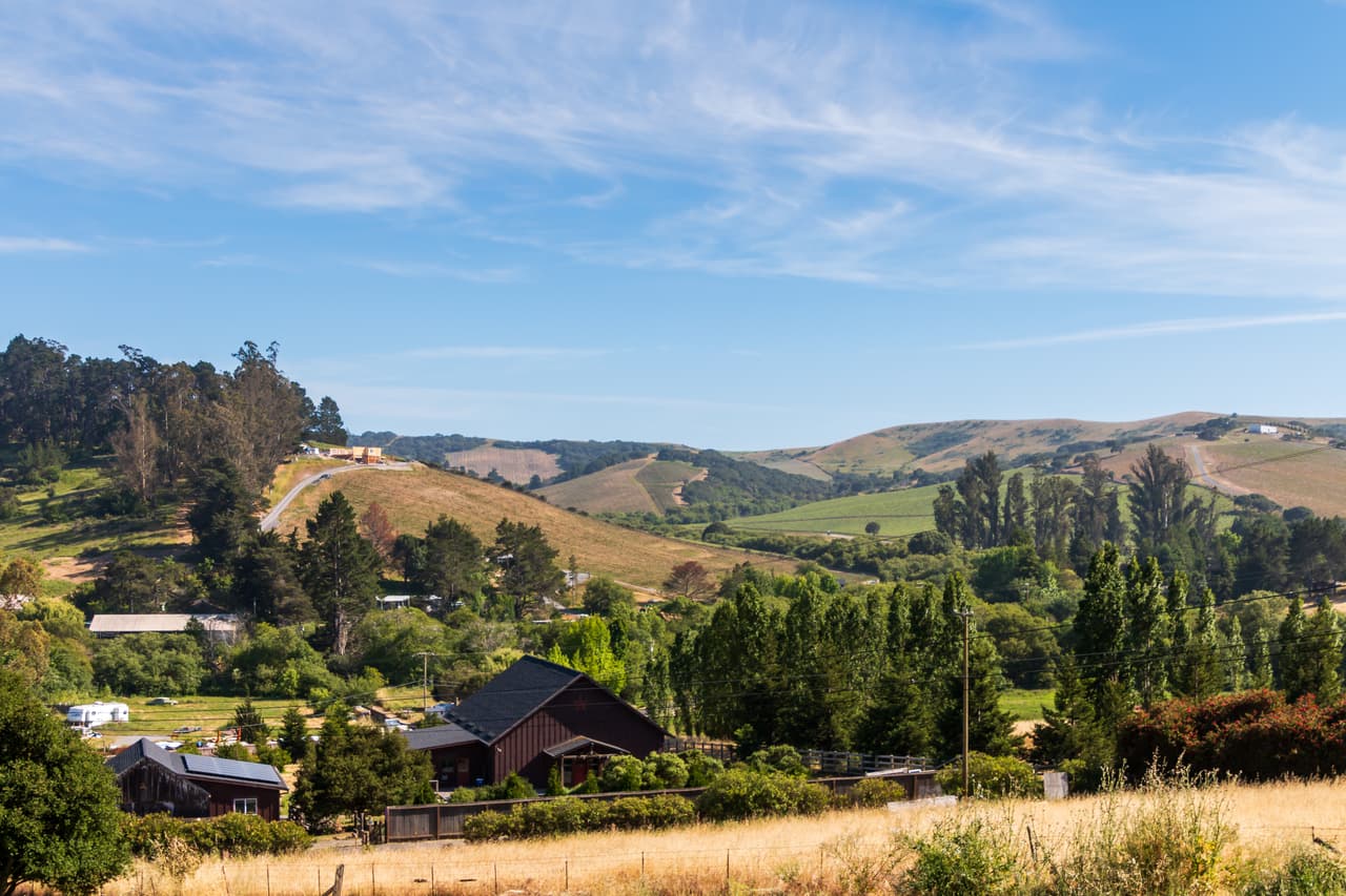 <b>Santa Rosa:</b> Ubicada en el condado de Sonoma. Es conocida por sus viñedos. Al este, el parque estatal Annadel, bordeado de senderos, cuenta con flores silvestres y un lago. La tasa de desempleo de Santa Rosa es del
<a href="https://www.bestplaces.net/compare-cities/santa_rosa_ca/petaluma_ca/people" target="_blank">3.10% </a>d e acuerdo con el sitio web Best Places.
<br>