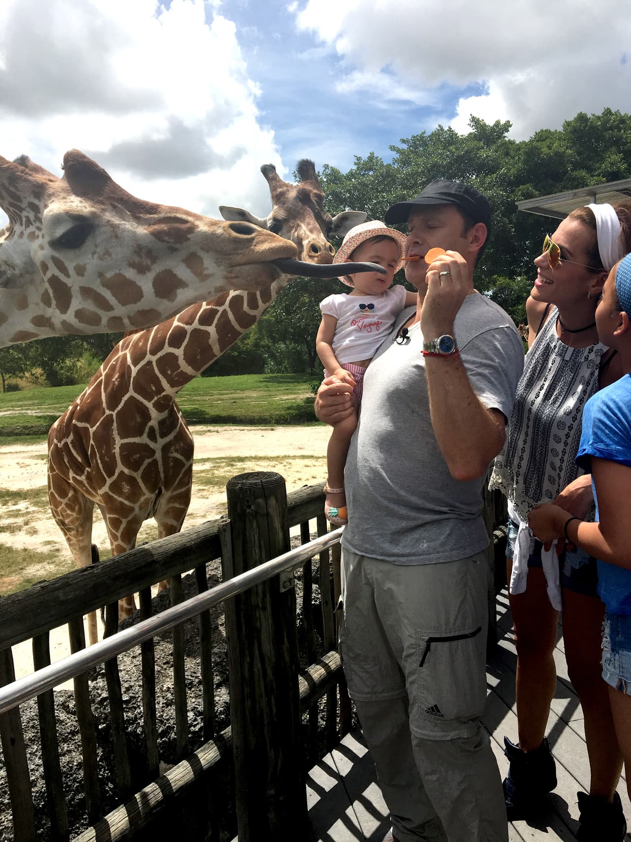 La jirafa sacó su larga lengua para alcanzar la comida que llevaban.