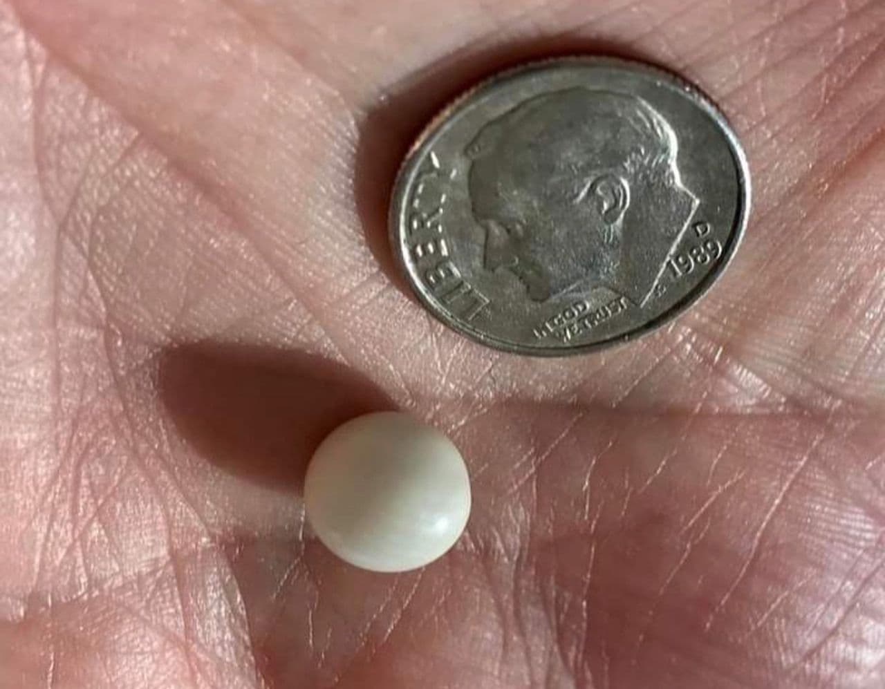 Aunque la gran perla podría costar miles de dólares, la pareja no planea venderla.