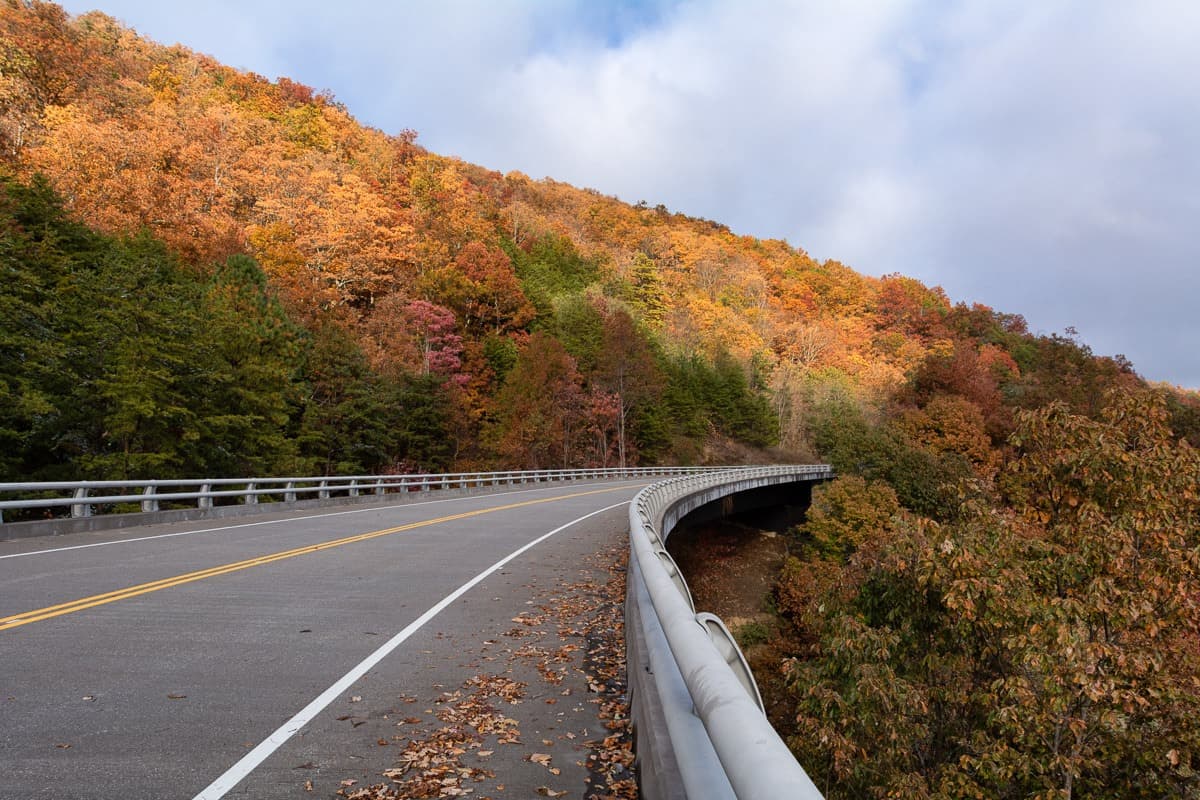 <a href="https://www.nps.gov/grsm/planyourvisit/nc-2-do.htm"><b>Great Smoky Mountains National Park</b></a>. El Parque Nacional Great Smoky Mountains es un lugar perfecto durante esta temporada. Es uno de los parques nacionales más grandes del país y el más visitado, pero solo una visita y entenderás por qué. Echa un vistazo a las vistas desde Clingmans Dome, el punto más alto del parque, y en las numerosas paradas con vistas a lo largo de Newfound Gap Road.
<br>
<br>
<a href="https://goo.gl/maps/pmuhJoQHmjSg3D2H6"><b>Cómo llegar</b></a>