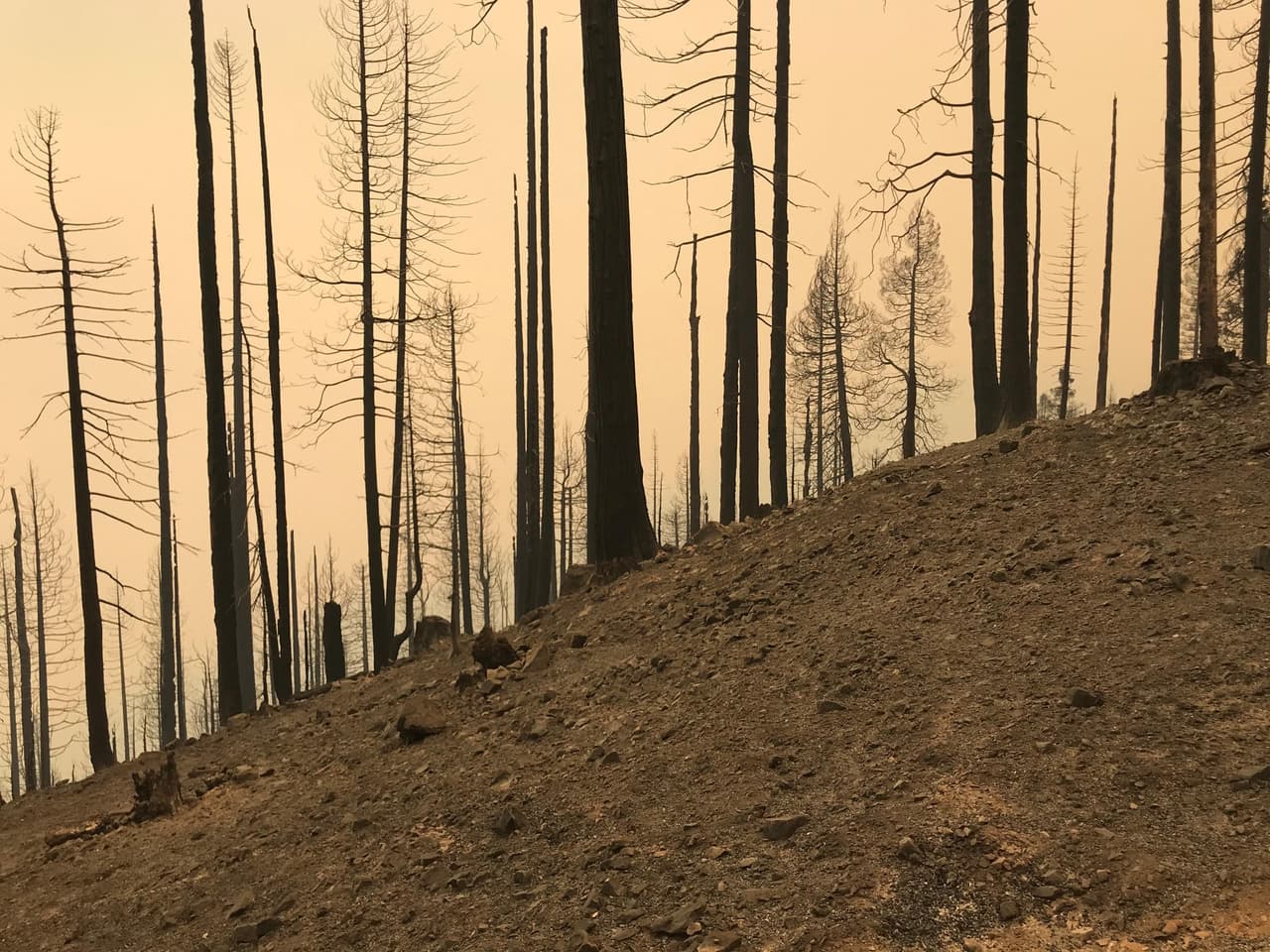 El denominado complejo de incendios Sequoia ha consumido 144 mil acres de vegetación y destruido 191 estructuras, entre casas y otras edificaciones.