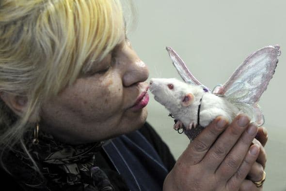 Una mujer comparte un momento tierno con su rata en un show de roedor como mascota en Minsk.