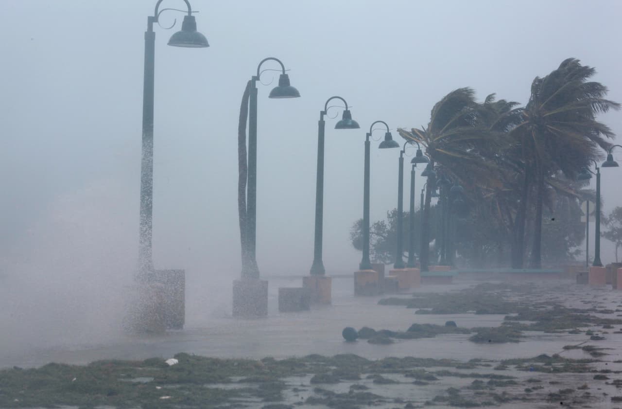 Palm trees buckle under winds and rain as Hurricane Irma slammed across islands in the northern Caribbean on Wednesday, in Fajardo, Puerto Rico September 6, 2017. REUTERS/Alvin Baez