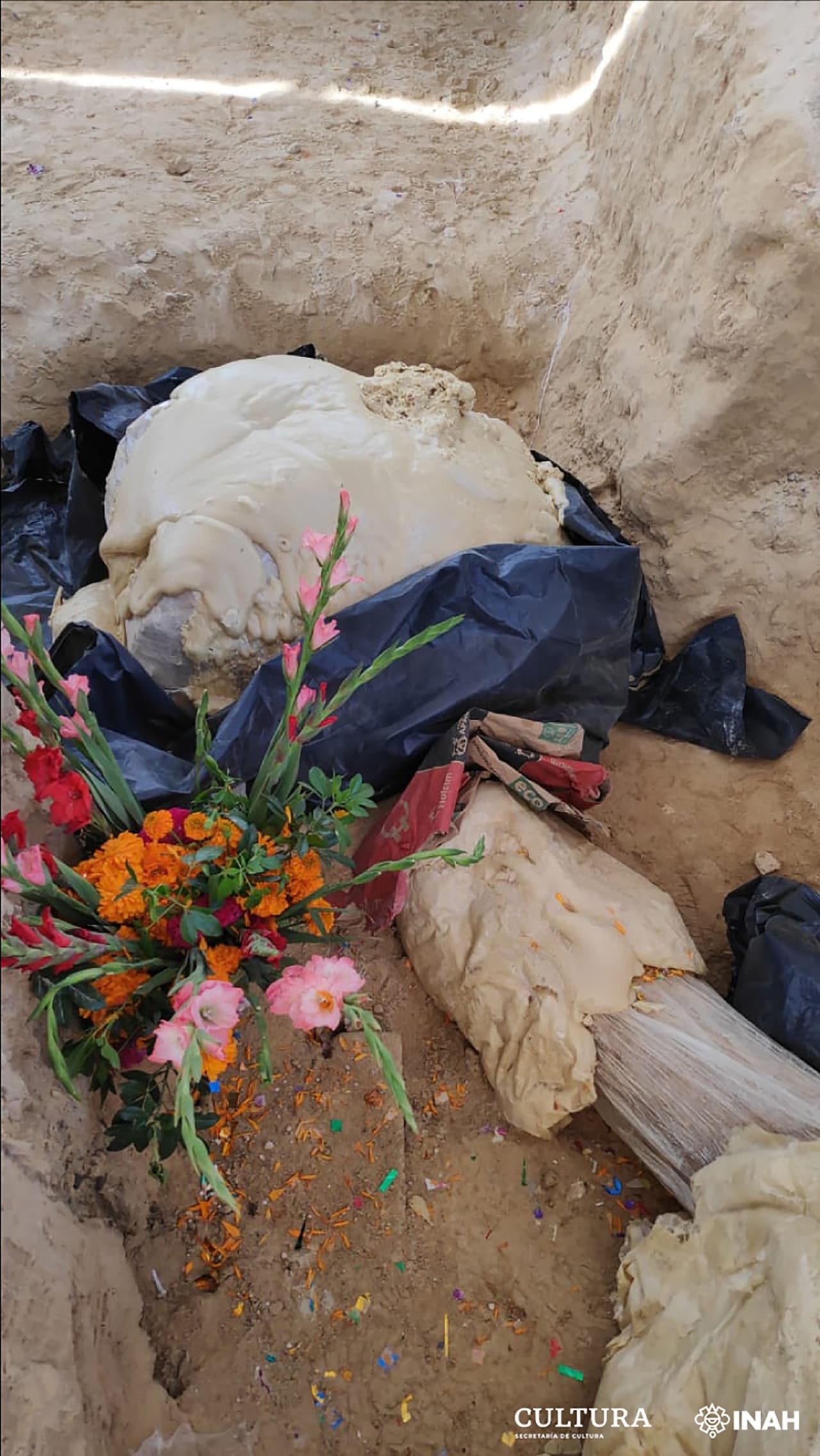 “Entre las filas de tumbas y el olor a crisantemos, se pudo recuperar una defensa (
<a href="https://www.biodiversidad.gob.mx/biodiversidad/EdHielo/mamutColumbia"><u>también conocida como colmillo</u></a>) casi completa, con una medida inicial de 2.90 metros”, explica el boletín del INAH.