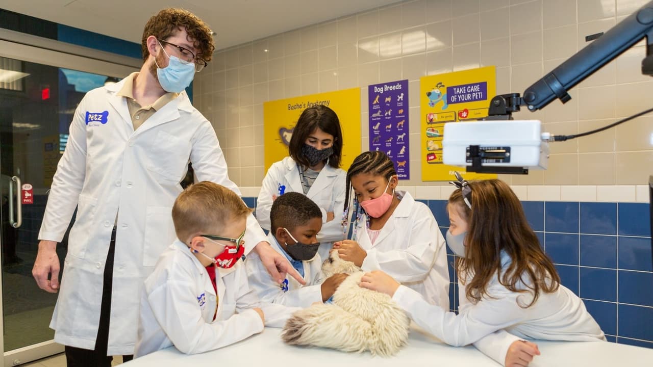 Si visitas el parque 
<b>Kidzania c</b>onsidera que el tiempo promedio de recorrido es de 4 horas y las actividades duran unos 20 minutos.